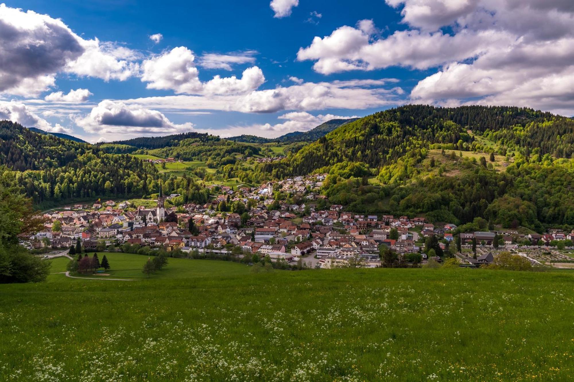 Ferienwohnung Traumblick Schönau im Schwarzwald Extérieur photo